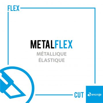 MetalFlex
